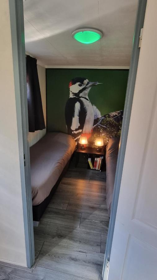 De Bonte Specht Hotel Hattemerbroek Екстериор снимка